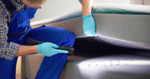 Best Flea Control Services  in Rocky Point, WA